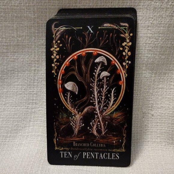 Midnight Magic - Picture 8 of 14